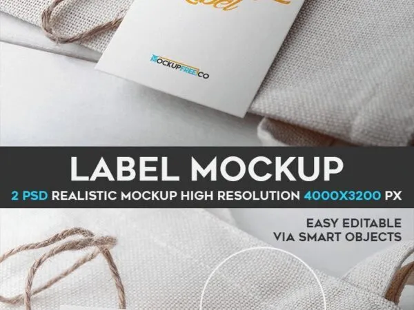 Two View of a Rectangular Label Mockup 1