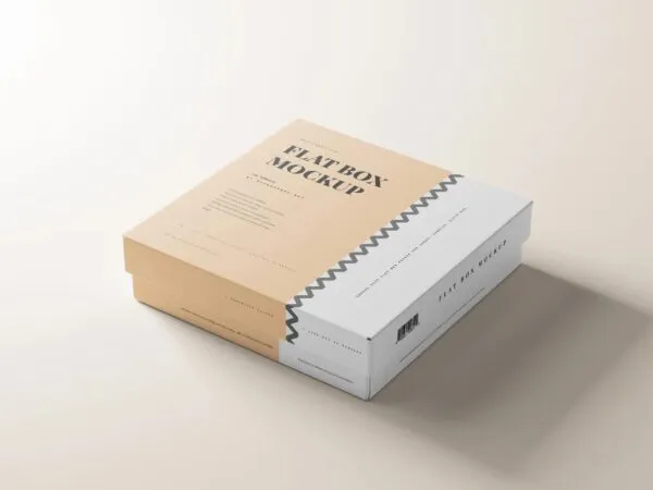 Varied Views of 10 Flat Box Mockups 1