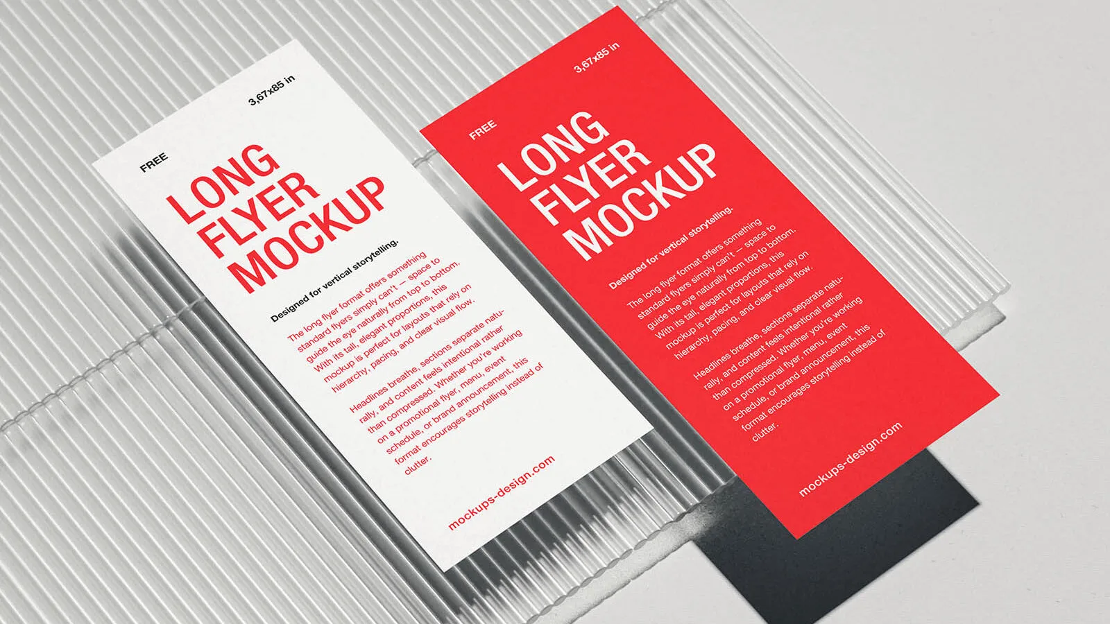 Vertical Slim Long Flyer Mockup Image 3 Designers Lab
