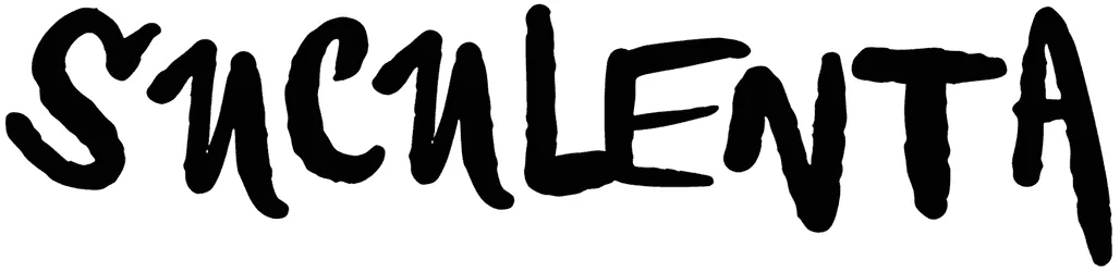 Vtks Suculenta Font 1