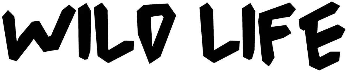 Wild Life Font 1