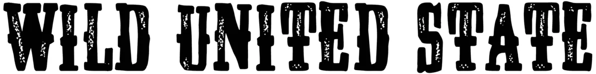 Wild United State Font 1