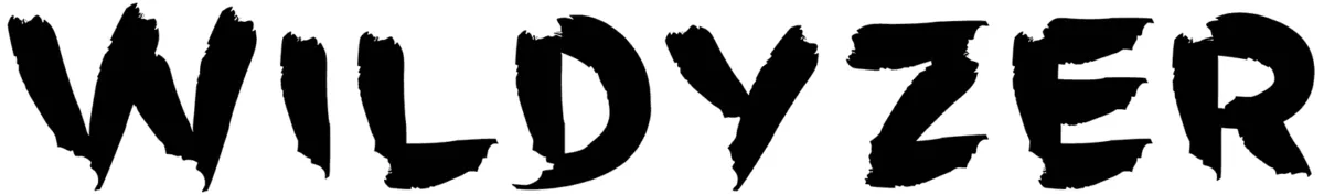 Wildyzer Font 1