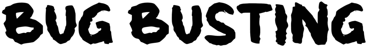 b Bug Busting Font 1